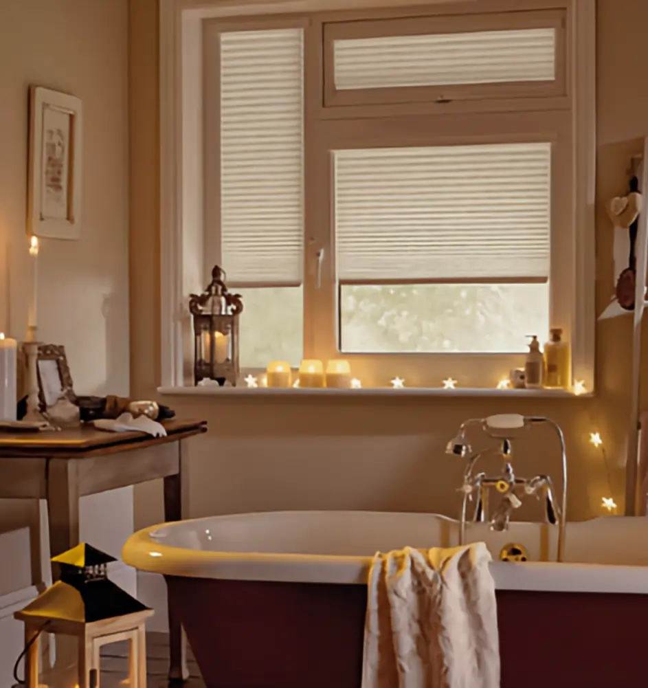 Pleated Blinds Gallery
